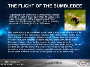 The flight of the bumblebee