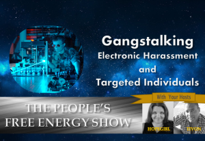 gangstalking electronic harassment and targeted individuals