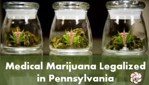 medical marijuana legalized in pennsylvania