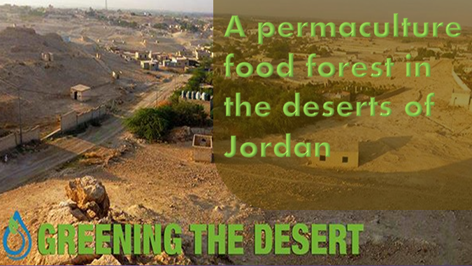 A permaculture food forest in the deserts of Jordan