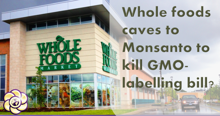 Whole foods caves to Monsanto to kill GMO-labelling bill?