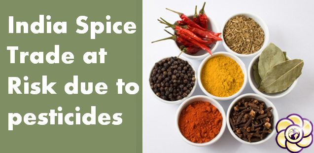 India’s spice trade at risk, as pesticides and pathogens contaminate popular seasonings