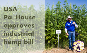 industrial hemp approved
