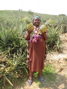 mavuno harvest