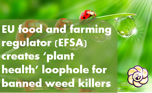 EU food and farming regulator (EFSA) creates ‘plant health’ loophole for banned weedkillers