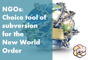 ngo-new-world-order-hopegirl-blog