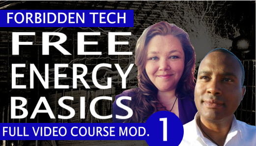 FREE ENERGY BASICS (Video)