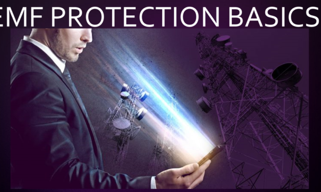 EMF PROTECTION BASICS (Video Presentation)