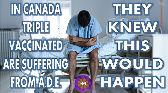 In Canada Triple Vaccinated are suffering from Antibody Dependent Enhancement And Pfizer and FDA Knew it Would Happen