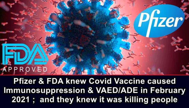 Pfizer & FDA knew Covid Vaccine caused Immunosuppression & VAED/ADE in Feb 2021; and they knew it was killing people