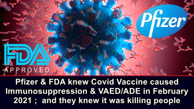 Pfizer & FDA knew Covid Vaccine caused Immunosuppression & VAED/ADE in Feb 2021; and they knew it was killing people