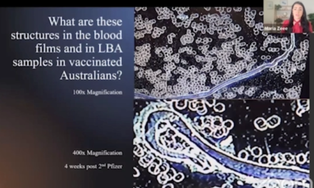 EXCLUSIVE: Australian Whistleblower Scientists Provide Evidence of Nanotech & Graphene Oxide