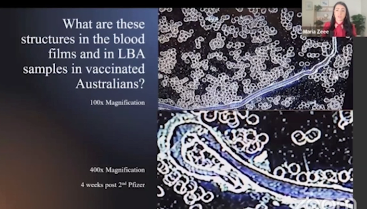 EXCLUSIVE: Australian Whistleblower Scientists Provide Evidence of Nanotech & Graphene Oxide