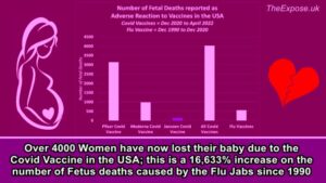 covid vaccine miscarriages