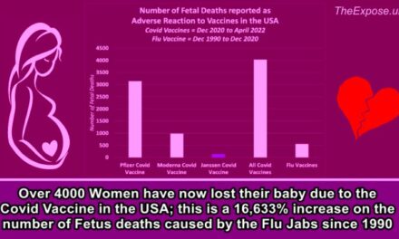 Over 4000 Women have now lost their baby due to the Covid Vaccine in the USA