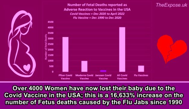 Over 4000 Women have now lost their baby due to the Covid Vaccine in the USA