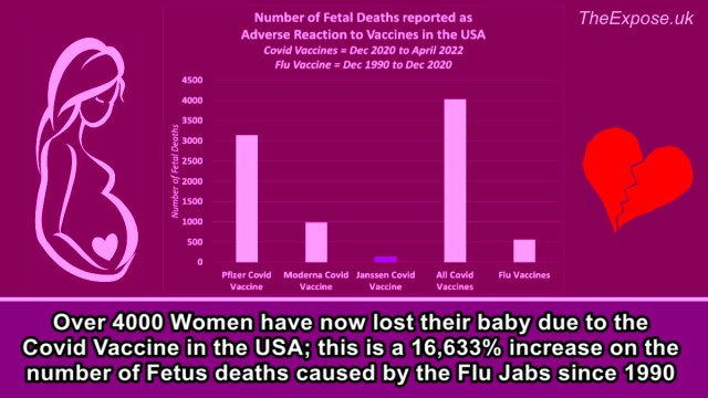 Over 4000 Women have now lost their baby due to the Covid Vaccine in the USA