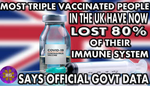 Most UK Triple Vaccinated have lost 80% of their Immune System