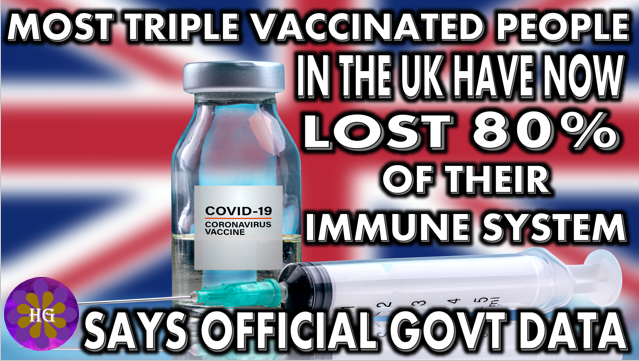 Most UK Triple Vaccinated have lost 80% of their Immune System