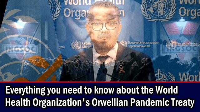 Everything you need to know about the World Health Organization’s Orwellian Pandemic Treaty
