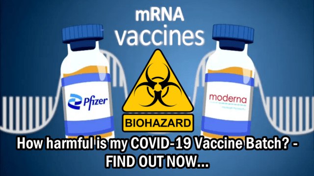 How harmful is my COVID-19 Vaccine Batch? – FIND OUT NO