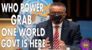 WHO POWER GRAB one world government