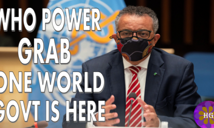 W.H.O. Power Grab : The Real Possibility of one World Government