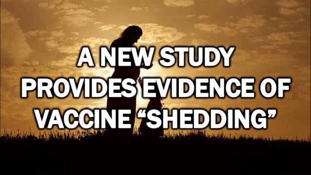 A New Study Provides Evidence of Vaccine “Shedding”