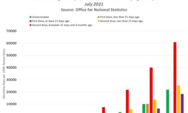 New UK Gov. report confirms COVID Vaccination significantly increases the risk of Death and kills hundreds of thousands after five months