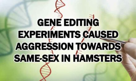 Gene Editing Experiments Caused Aggression Towards Same-Sex in Hamsters