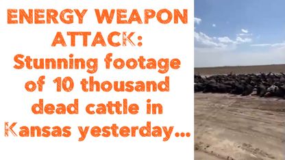 ENERGY WEAPON ATTACK: Stunning footage of 10 thousand dead cattle