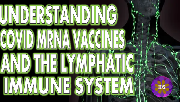 Understanding COVID mrna Vaccine and the Lymphatic Immune System
