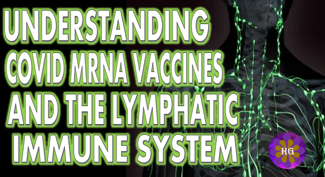 Understanding COVID mrna Vaccine and the Lymphatic Immune System