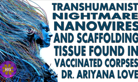 Transhumanist Nightmare NanoWires and Scaffolding Tissue in Vaccines Dr. Ariyana Love