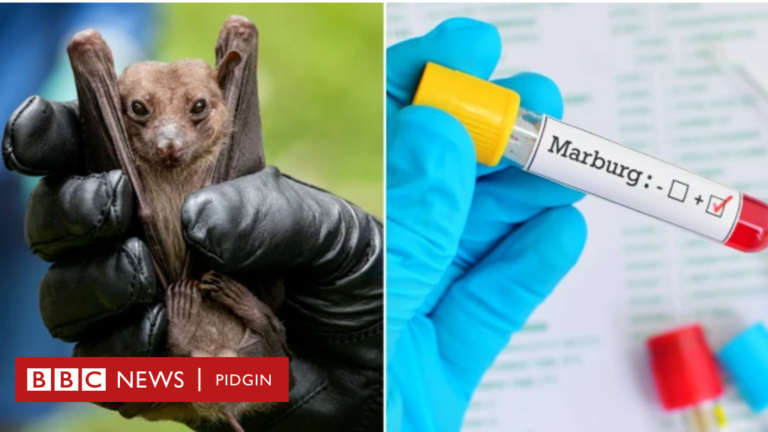 6f537420-fea2-11ec-bfa6-89ae37be3a04