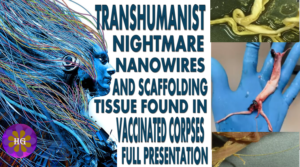 transhumanist nightmare biostructures and tissue scaffolding nanowires found in covid vaccinated corpses
