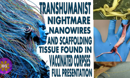FULL PRESENTATION (Video) Transhumanist Nightmare Covid Vaccinated Corpses