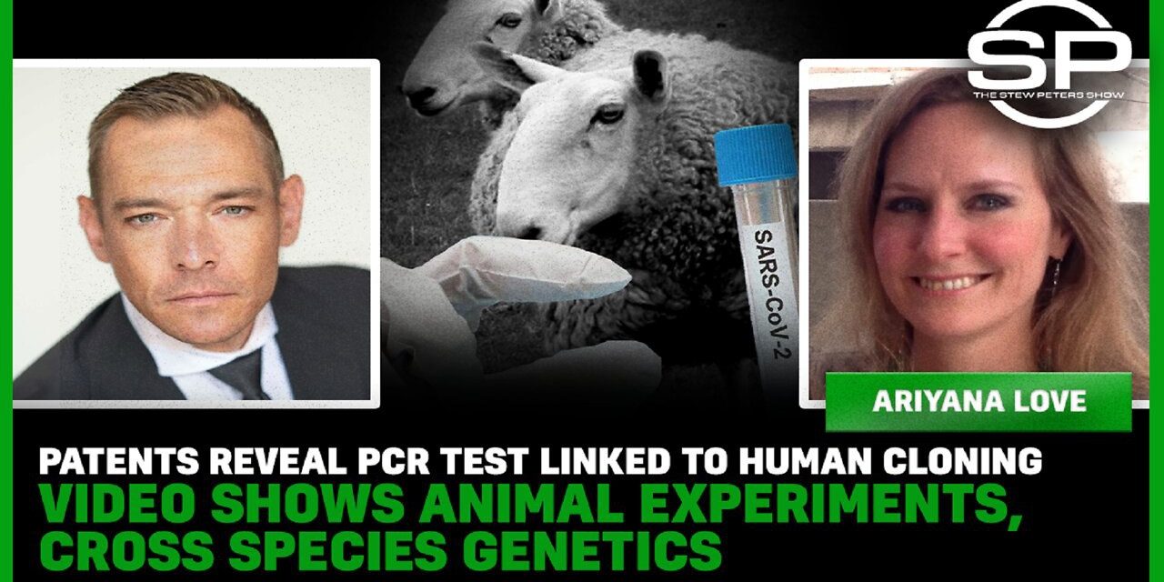 Patent PCR Test Linked To Human Cloning Video Shows Animal Experiments, Cross Species Genetics