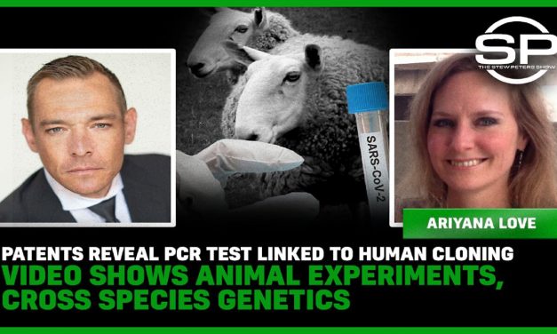 Patent PCR Test Linked To Human Cloning Video Shows Animal Experiments, Cross Species Genetics