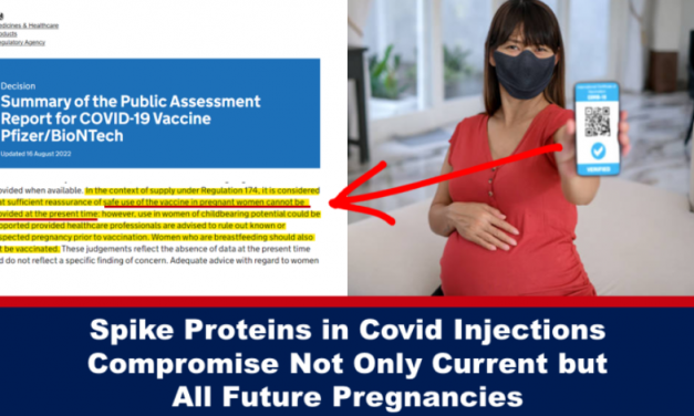 Spike Proteins in Covid Injections Compromise Not Only Current but All Future Pregnancies