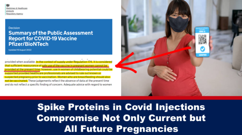 Spike Proteins in Covid Injections Compromise Not Only Current but All Future Pregnancies