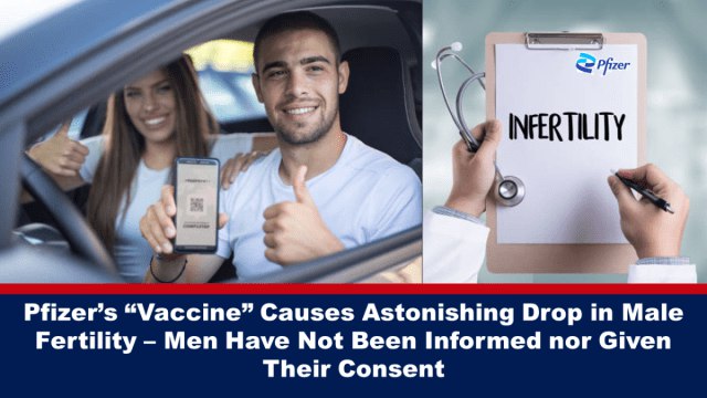 Pfizer’s “Vaccine” Causes Astonishing Drop in Male Fertility – Men Have Not Been Informed nor Given Their Consent