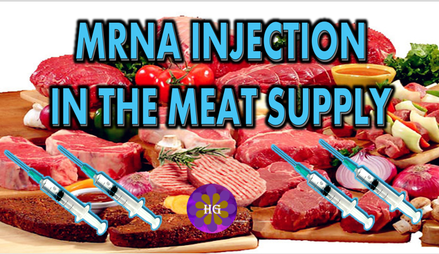 Mader Than Hell 500 dead per week MRNA injected into the Meat supply Get Angry