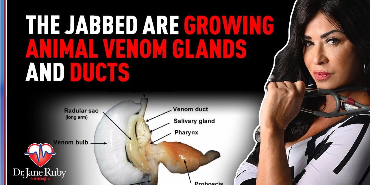 The Jabbed Are Growing Animal Venom Glands and Ducts