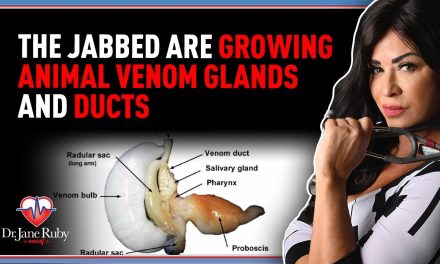 The Jabbed Are Growing Animal Venom Glands and Ducts