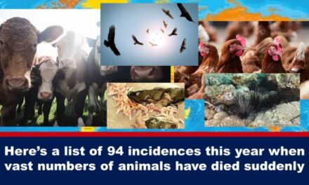 Here’s a list of 94 incidences this year when vast numbers of animals have died suddenly
