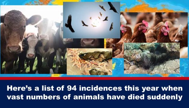 Here’s a list of 94 incidences this year when vast numbers of animals have died suddenly