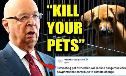 The People’s Voice: WEF Wants To Slaughter Millions of Pet Cats and Dogs To Fight Climate Change