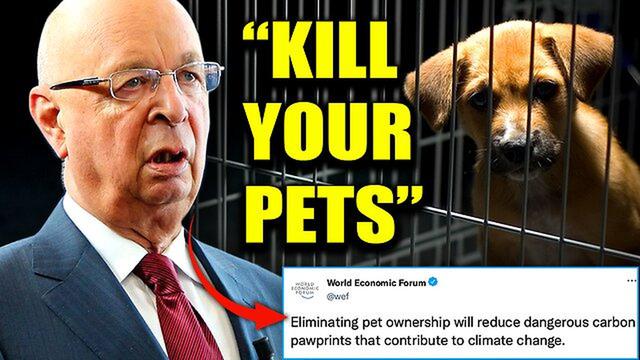 The People’s Voice: WEF Wants To Slaughter Millions of Pet Cats and Dogs To Fight Climate Change