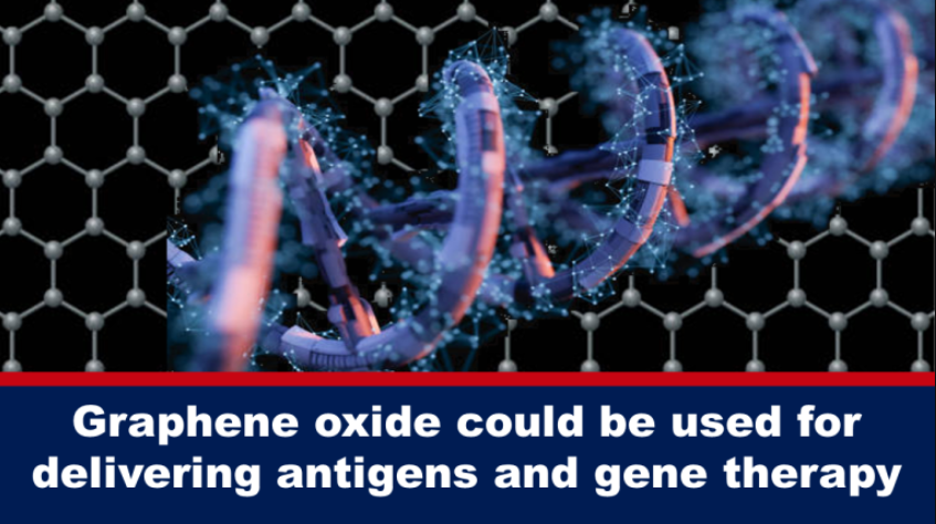 Graphene oxide could be used for delivering Antigens and Gene Therapy